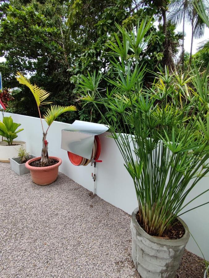 Riverside Mount Simpson - Seychelles Island Beau Vallon (Mahe) Exterior foto