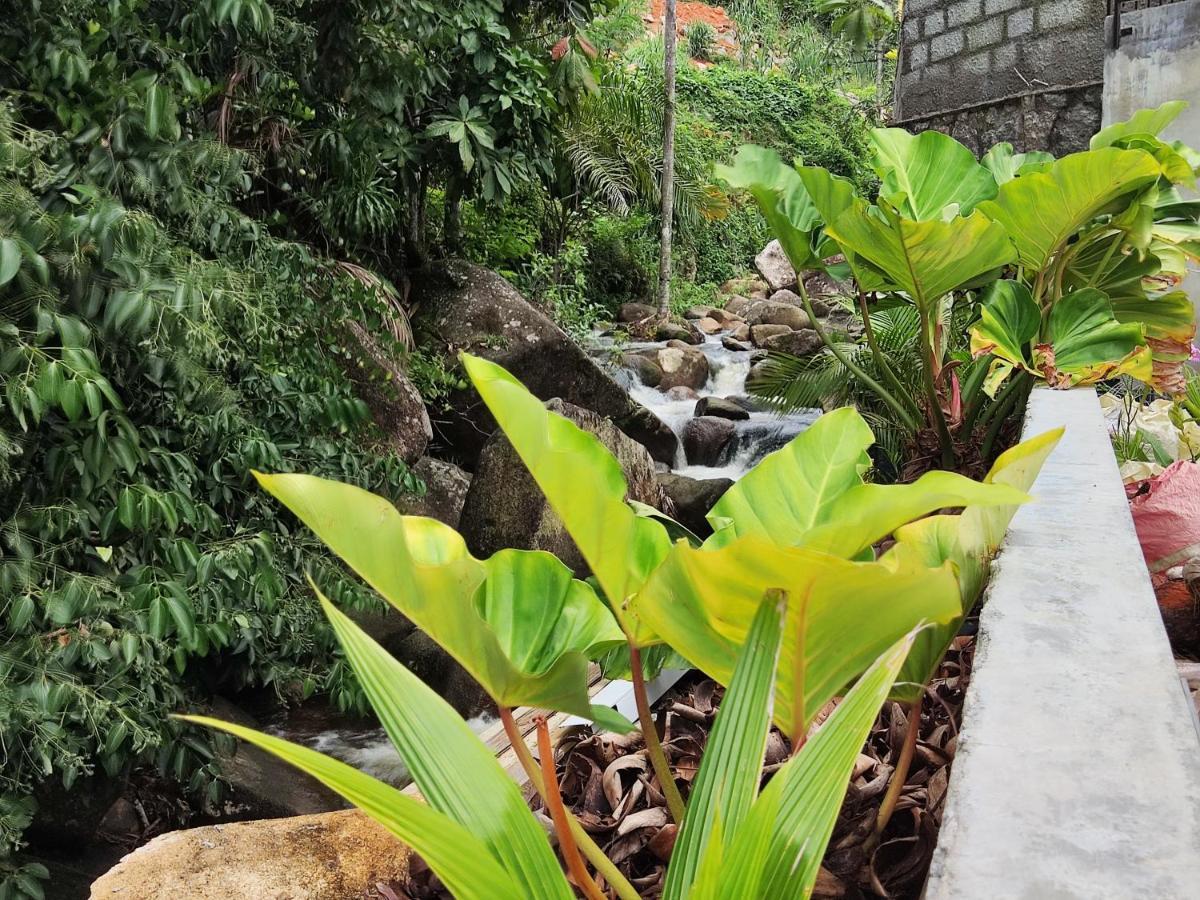 Riverside Mount Simpson - Seychelles Island Beau Vallon (Mahe) Exterior foto